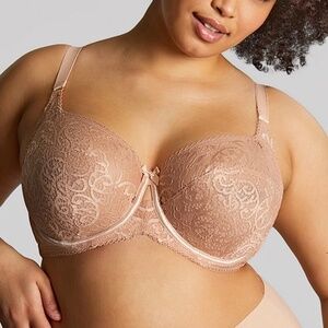 NEW Scupltresse by Panache Estel Lace Full Cup Underwire Bra 9685 Honey (Beige)